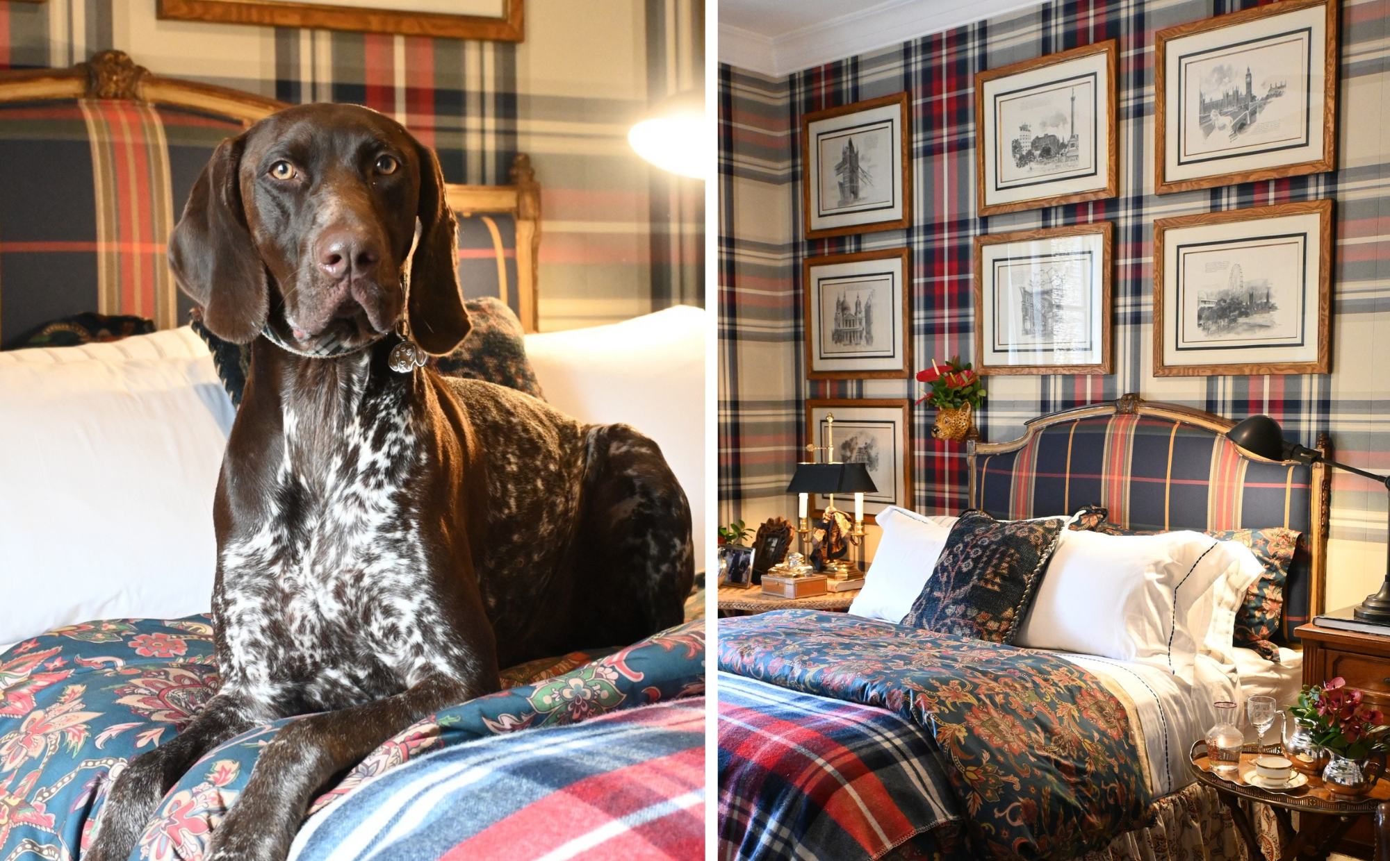 Coleção Tartans da Entreposto: Clássico e Atemporal